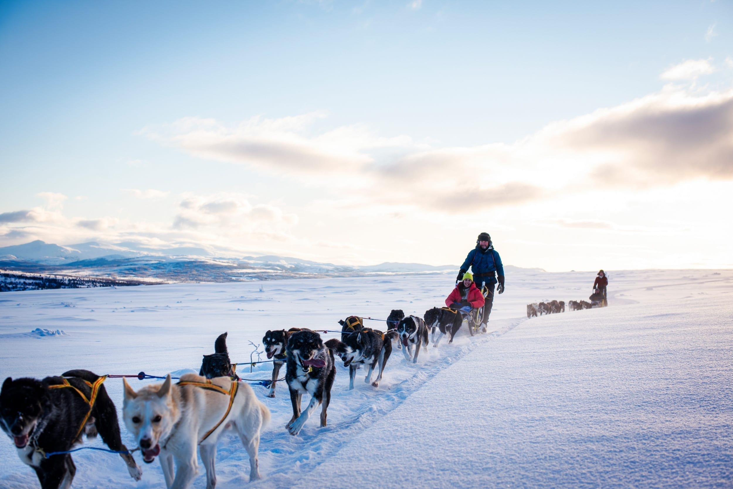 Dogsledding-winter-activity-experience